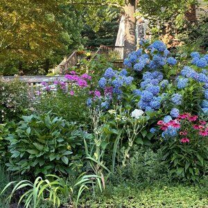 Meet your Posher, Julia